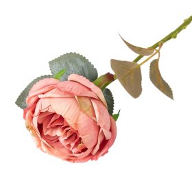 Pivonka hodvábna, 1 stonka, výška 51cm - Broskyňová