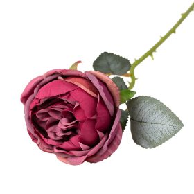 Pivonka hodvábna, 1 stonka, výška 51cm - Bordová