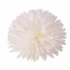 Chryzantéma hodvábna hlava, priemer 21cm - Biela