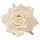Ruža hodvábna hlava, priemer 9cm - Ecru