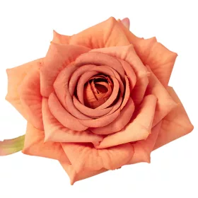Ruža hodvábna hlava, priemer 9cm - Oranžová