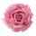 Ruža hodvábna hlava, priemer 11cm - Tmavoružová