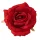 Ruža hodvábna hlava, priemer 11cm - Červená