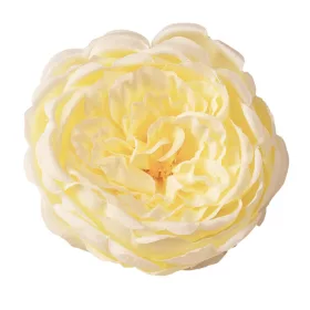 Anglická ruža hodvábna hlava, priemer 10.5cm - Krémová