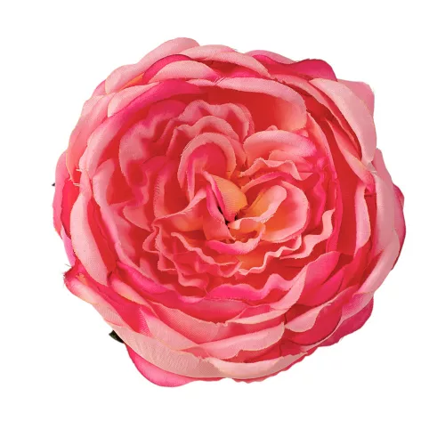 Anglická ruža hodvábna hlava, priemer 10.5cm - Ružová