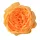 Anglická ruža hodvábna hlava, priemer 10.5cm - Oranžová
