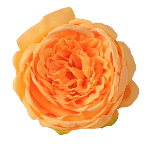 Anglická ruža hodvábna hlava, priemer 10.5cm - Oranžová