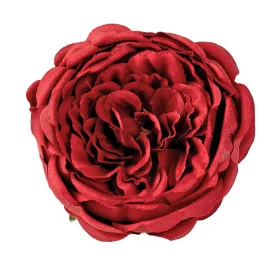 Anglická ruža hodvábna hlava, priemer 10.5cm - Bordová