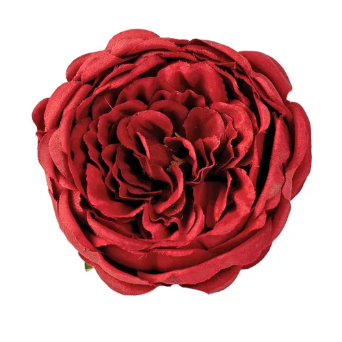 Anglická ruža hodvábna hlava, priemer 10.5cm - Bordová