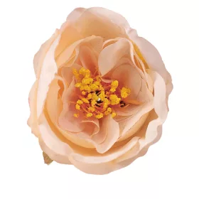 Pivonka hodvábna hlava, priemer 7cm - Ecru