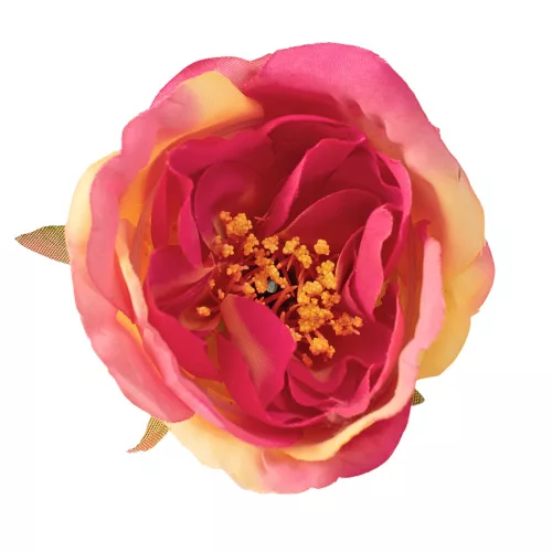 Pivonka hodvábna hlava, priemer 7cm - Žltá / Ružová