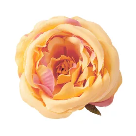 Pivonka hodvábna hlava, priemer 7cm - Krémová