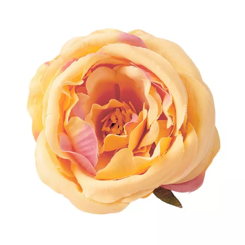 Pivonka hodvábna hlava, priemer 7cm - Krémová