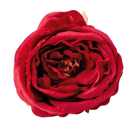 Pivonka hodvábna hlava, priemer 7cm - Bordová