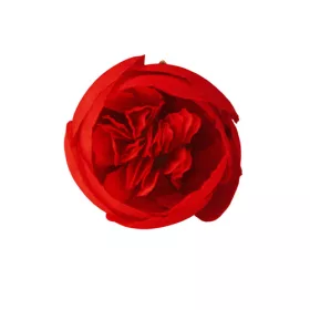 Hlava hodvábneho kvetu Buttercup, 3cm - Červená