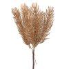 Borovicový dekoratívny zväzok, 6-stonkový, výška 20 cm – Zlatý