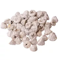 Sušené plody dekoratívne